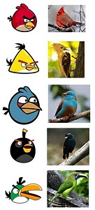 Angry Birds