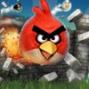 Angry Birds